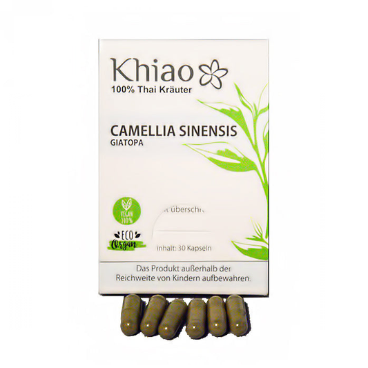 Camellia Sinensis Giatopa - Energie aus grünem Tee